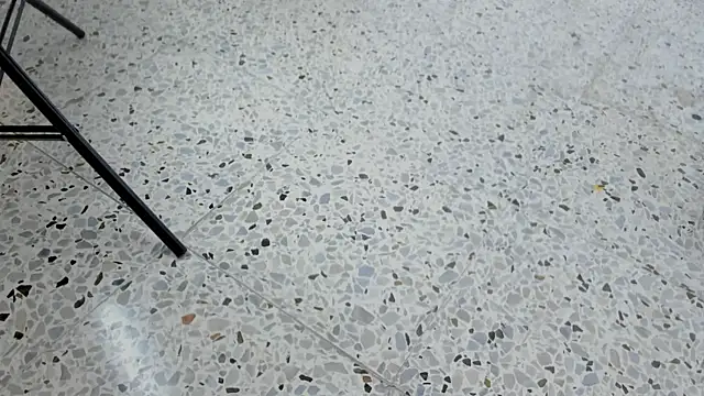 Show Webcam de Isabella-001