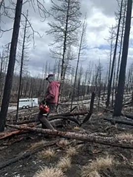 GoldenFlameGoddess লাইভ XXX চ্যাট