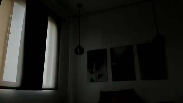 Red_Diamond_Guyn Webbikameraesitys