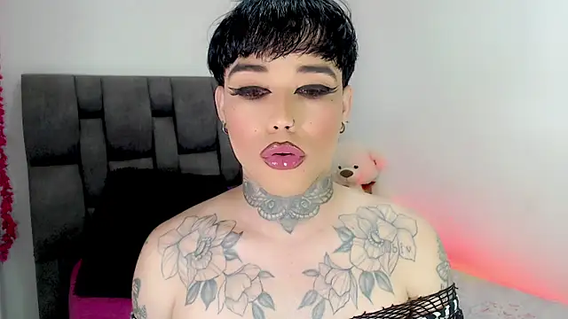 little_star_porn 웹캠 쇼