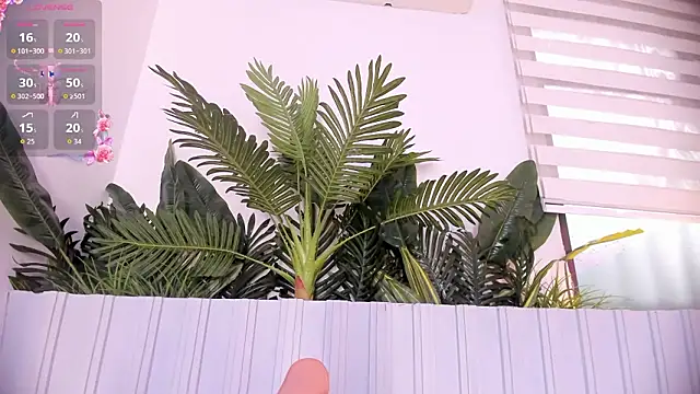 Chat XXX ao vivo de stephanymonroe