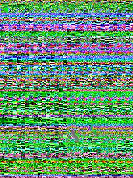 __butterfly___ Show Webcam