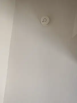 freakylittlebitch69 라이브 XXX 채팅