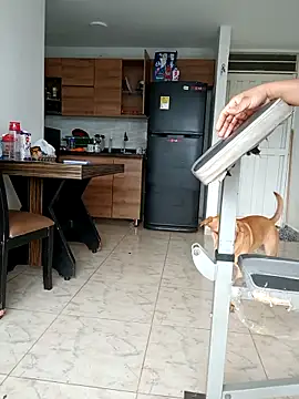 Chat XXX ao vivo de LEIRIS_Y_FRED_01