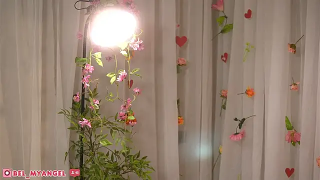 Bella-Franco 现场XXX聊天