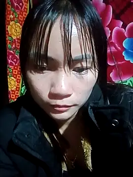 vios_2026 网络视讯表演