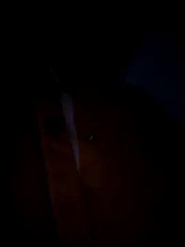 pleasure_of_life Obrolan Langsung XXX