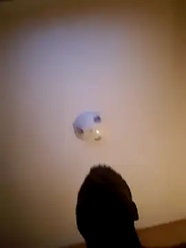 แชท XXX สดของ pumapatri