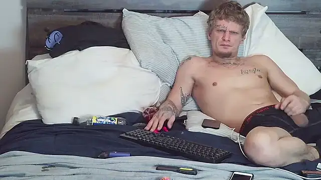 Show webcam de spazz247