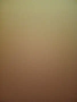 Chat XXX ao vivo de kevinmicheall