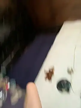 Chat +18 de ricausuvave ao vivo