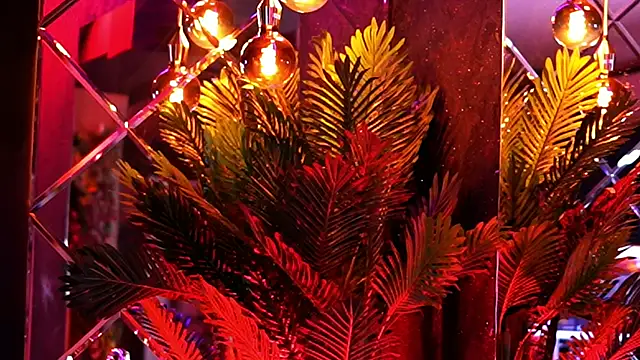 แชท XXX สดของ BellaNoirre