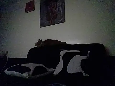 hoely_grail01n Live XXX chat