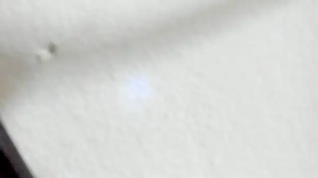 XXX chat uživo modela coralcarter1