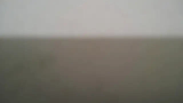 แชท XXX สดของ DarcyeJane