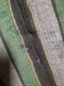 Show Webcam de indianbull001