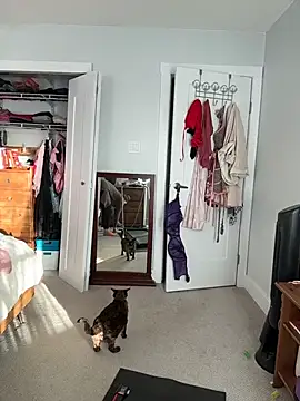 violetaurora95 webkamerás műsora