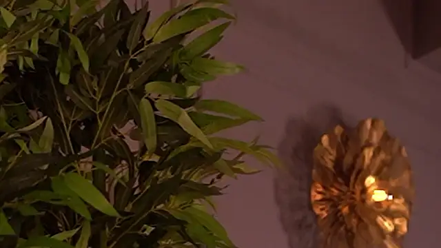 PerfectBootyXO 라이브 XXX 채팅