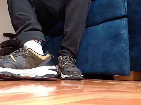 Show webcam de alphaswitchard