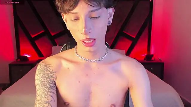 عرض كام AndyWiilliams