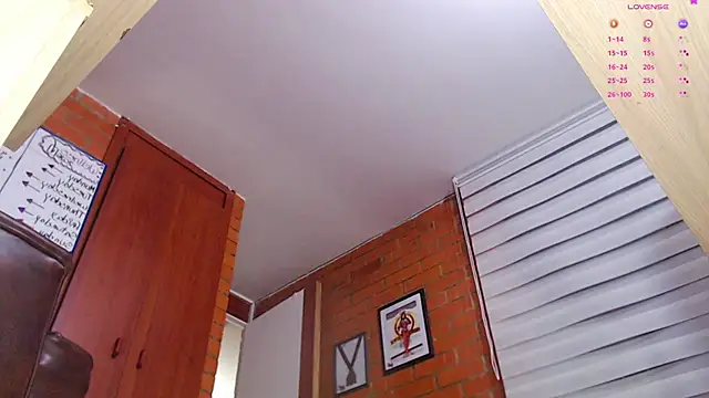 Salome-sw 现场XXX聊天