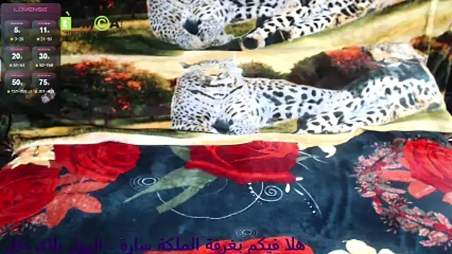 Queen_Sarah 现场XXX聊天