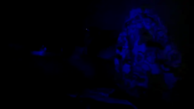 bialoba7 Webcam Show