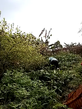 ngan-cute লাইভ XXX চ্যাট