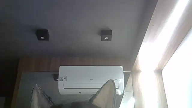 SkinnyKitten: απευθείας συνομιλία ΧΧΧ