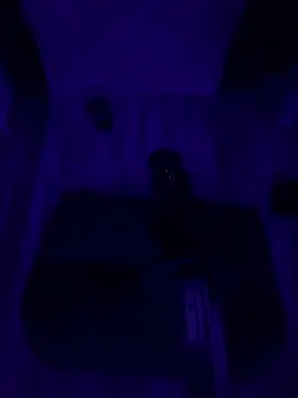 BottomCamp Webcamshow