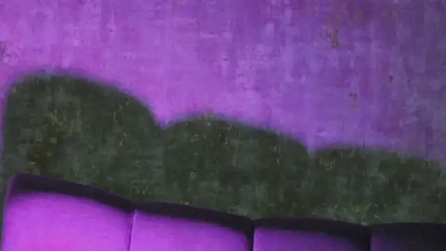 AmisRayy live XXX chat