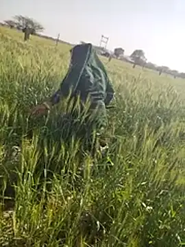 Czat XXX na żywo – hornycouple20000