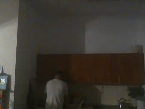 DefiniteTimor Webcam-Show