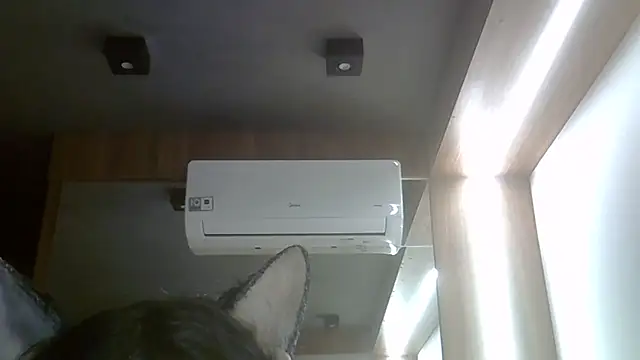 แชท XXX สดของ SkinnyKitten