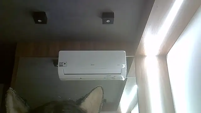 SkinnyKitten Live XXX-chat