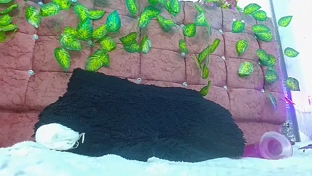 Czat XXX na żywo – gisele_merchann