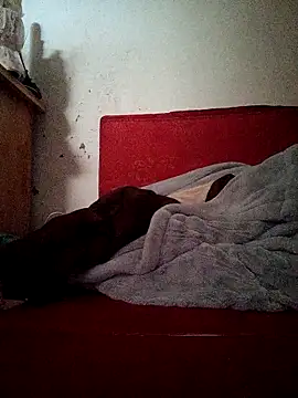 July-Asian Show Webcam