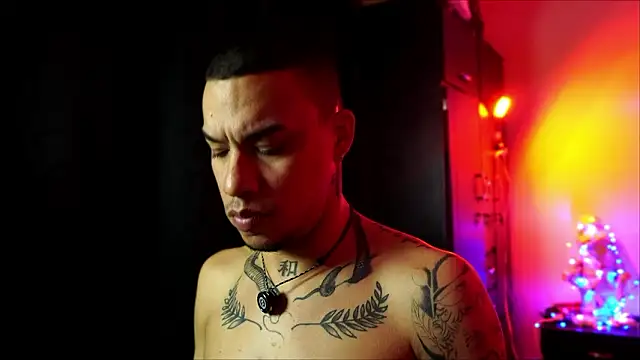 Chat +18 de AlphaMasterXxx ao vivo