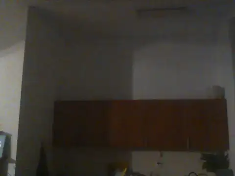 DefiniteTimor Webcam Show