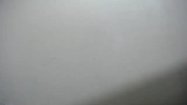 Foxy_Lovex's Live XXX Chat