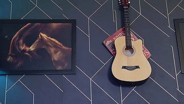 ChrisKox 网络视讯表演