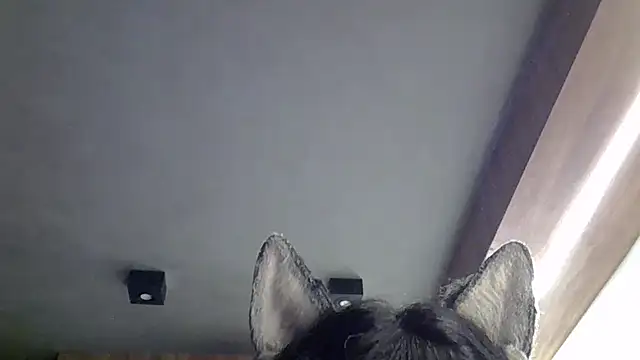 SkinnyKitten's Webcam Show
