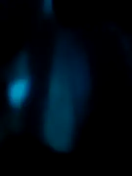 noyanbd2026 Webcam-Show