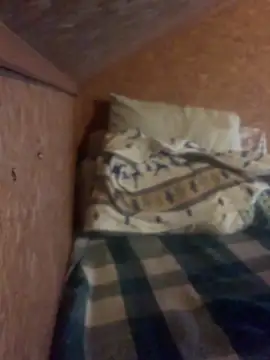 Show de webcam de Ldnick69