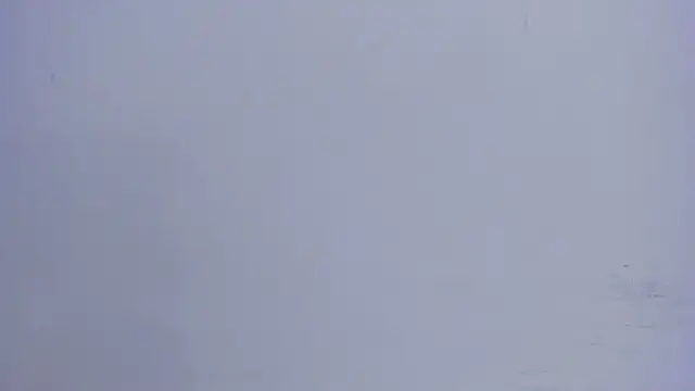 lia_quinn Live XXX-Chat