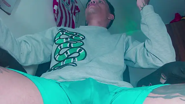 theskateboy – Kamerová šou