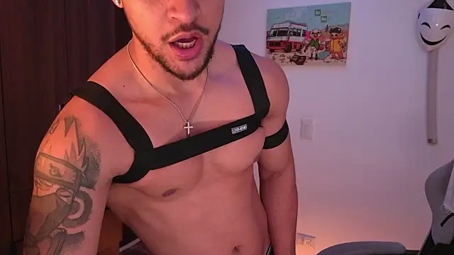 domsantiago_ – Kamerová šou