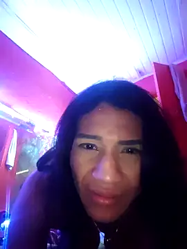 Show Webcam de Dehtrans