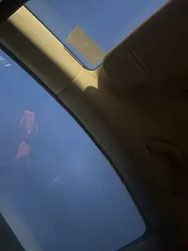 PayForThePaddy Live XXX-Chat