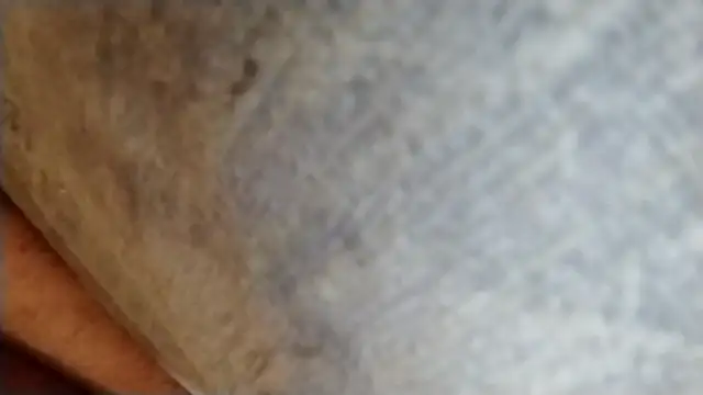 247Srokin élő XXX-chatje